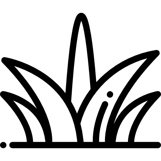 Lawn Top Dressing and Lawn Sustainability