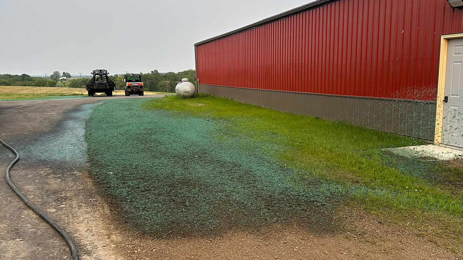 Hydroseeding grass