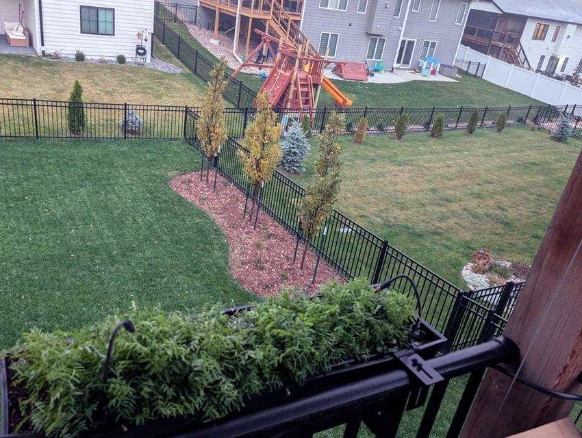 Lawn Results